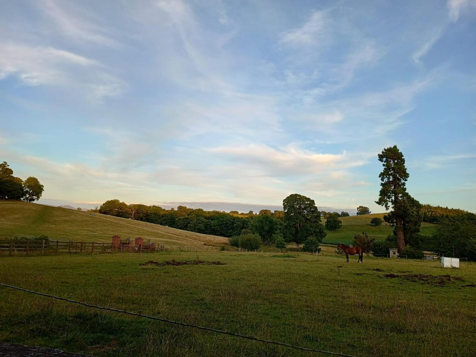 The Stables At Eriviat Hall Henllan  Exterior foto
